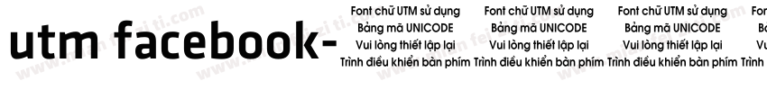 utm facebook字体转换